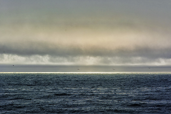 Late Afternoon at the Sea