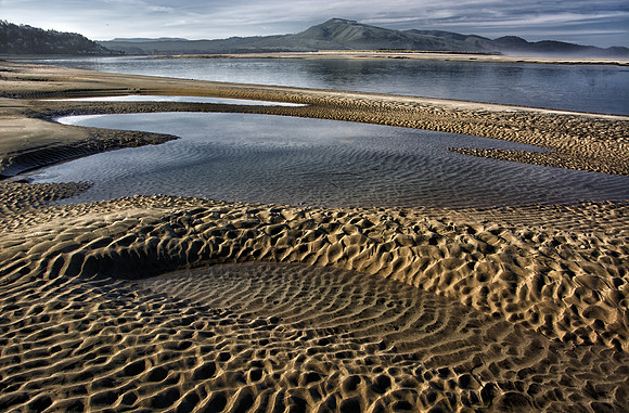 Low Tide Textures