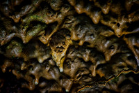 Lavacicles in Valentine Cave