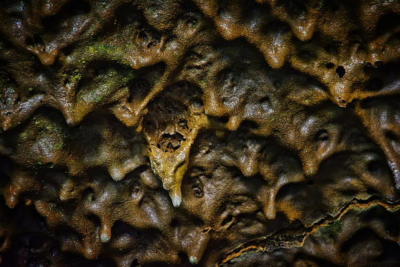 Lavacicles in Valentine Cave