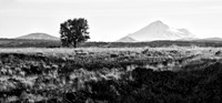 Mt. Shasta from Captain Jack's Stronghold