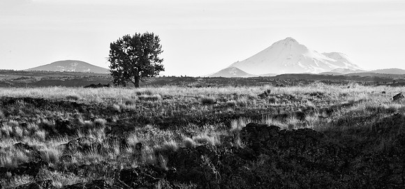 Mt. Shasta from Captain Jack's Stronghold
