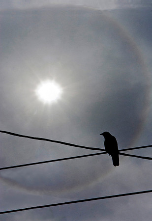 Crow and Sun