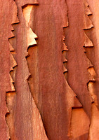 Red Rock Face