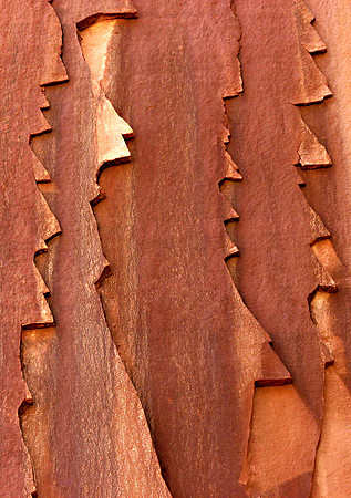 Red Rock Face