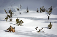 Fairyland Snow