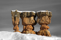 Chess Pieces