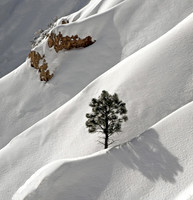 Snow Ridges