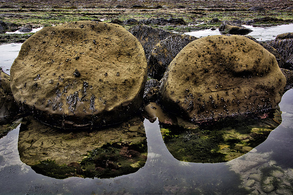 Bowling Balls Reflected