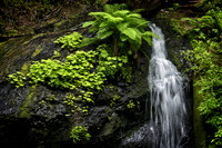 Russian Gulch Waterfall