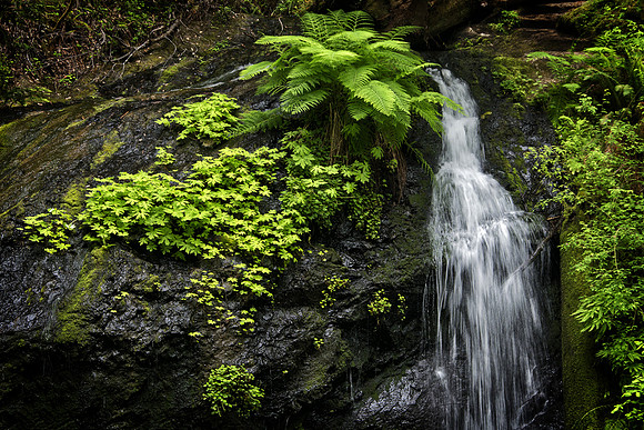 Russian Gulch Waterfall