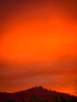 Red Sunset