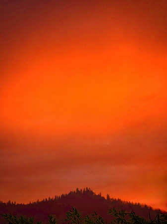 Red Sunset