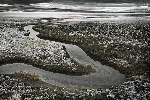 Low Water, No Birds