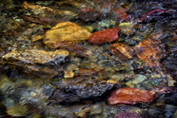 Colors of Ptarmigan Creek