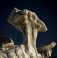Bisti/De-Na-Zin Wilderness