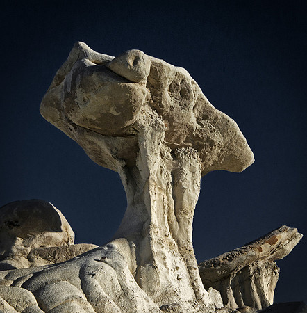 Bisti Rocks