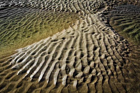 Scallop Shape in Sand