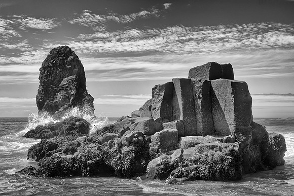 Natural Architecture
