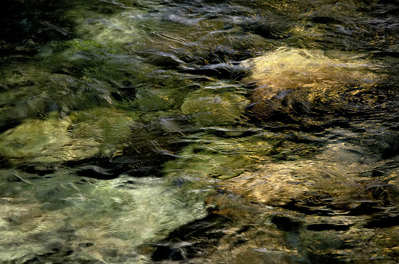 Taylor Creek