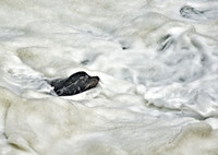 Keeping Head Above Water
