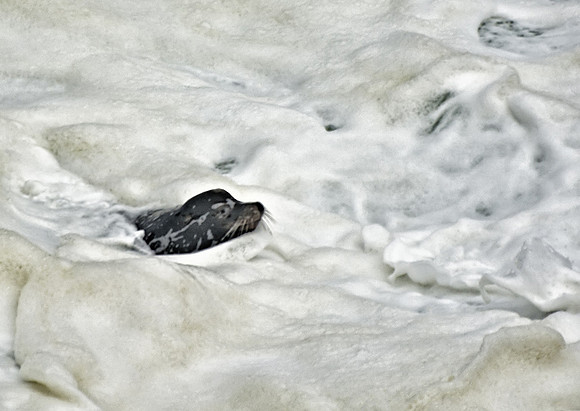 Keeping Head Above Water