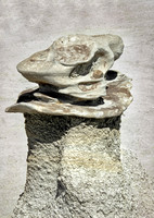 Bisti Day of the Dead