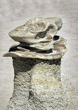Bisti Day of the Dead