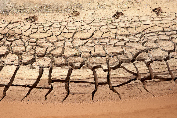 It Left Only Footprints